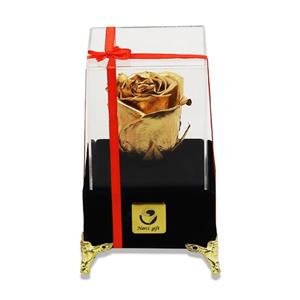 گل رز جاودان نارسیس گیفت مدل 315